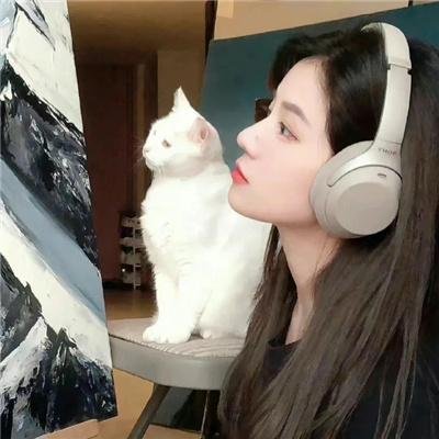 纯情罗曼史第二季